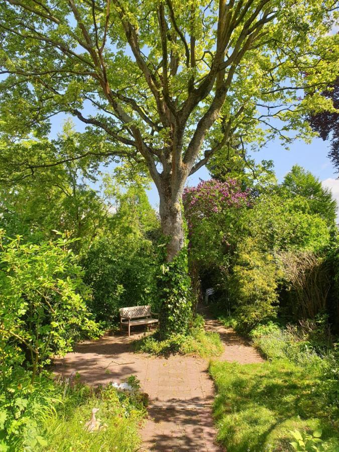 Willem Ii Bed & Breakfast Roermond